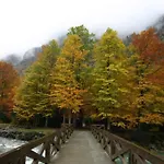 Escalar
